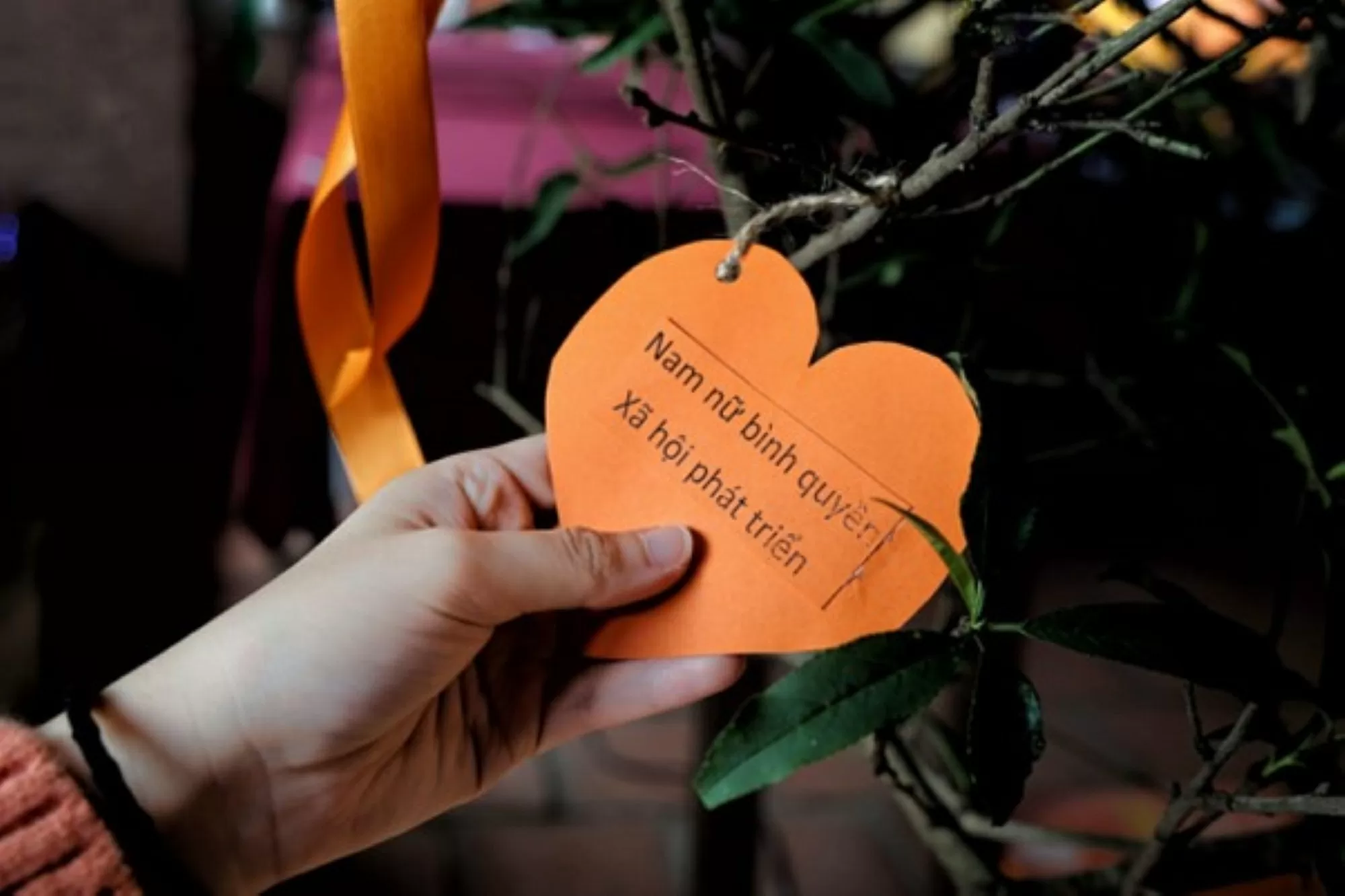 TH Group „se îmbracă în portocaliu” pentru a promova egalitatea de gen și siguranța femeilor și fetelor în era digitală Tập đoàn TH 'tô cam' thúc đẩy bình đẳng giới và an toàn cho phụ nữ, trẻ em gái trong kỷ nguyên số