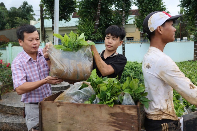 Đại hội Đảng bộ xã Tu Mơ Rông nhận cây giống để giúp người nghèo phát triển sinh kế - Ảnh 1.