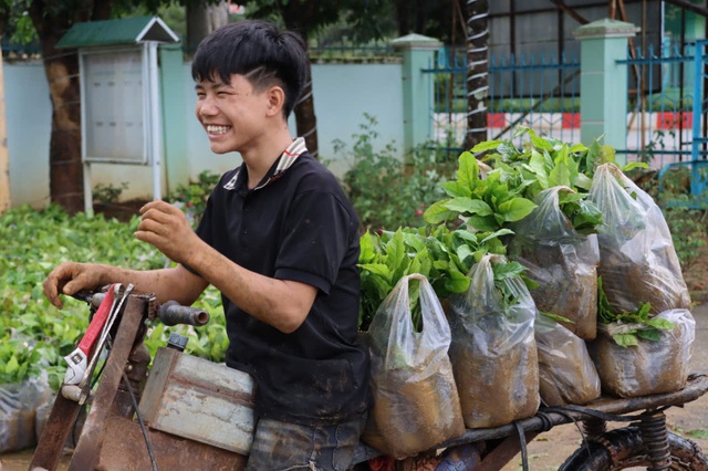 Đại hội Đảng bộ xã Tu Mơ Rông nhận cây giống để giúp người nghèo phát triển sinh kế - Ảnh 3.