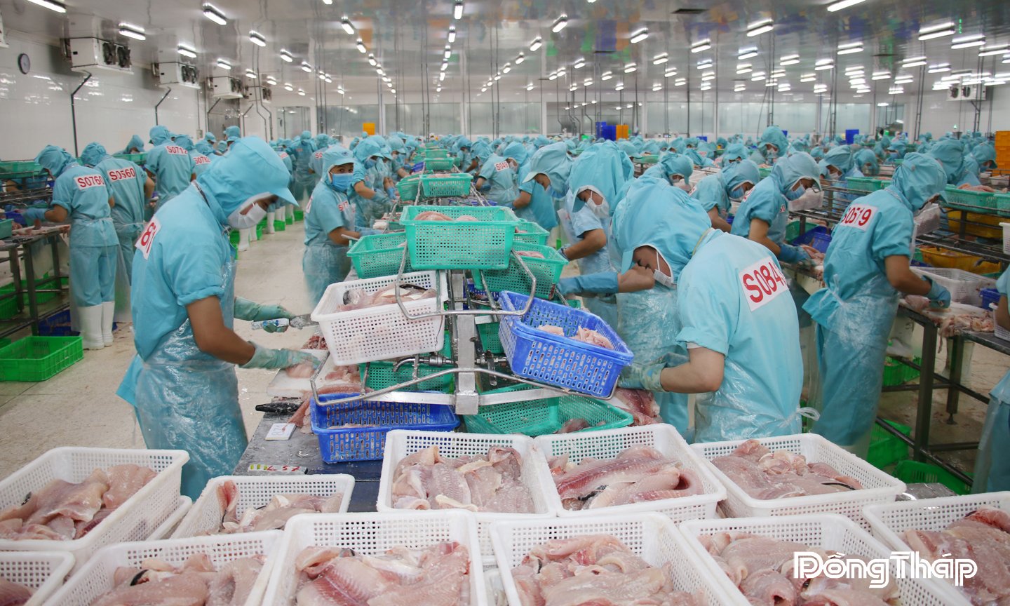 دونج ثاب يطور الزراعة في اتجاه دائري وودود-1.jpg