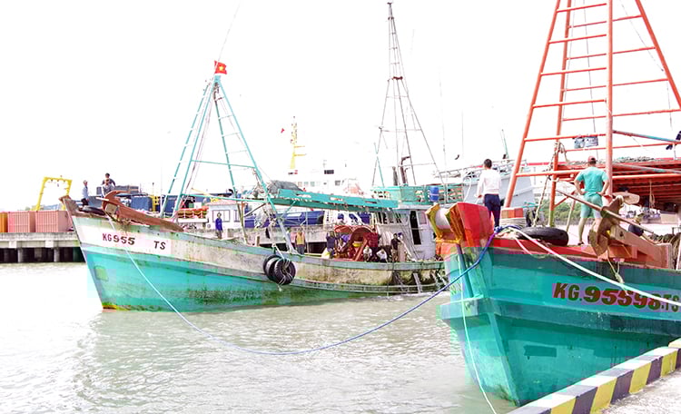 Reforzar los patrullajes para prevenir las violaciones de la pesca ilegal, no declarada y no reglamentada. – Vietnam.vn