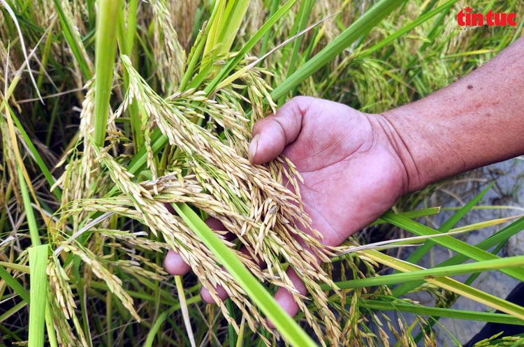 Підпис до фотографії