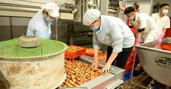 Bắc Ninh cân bằng hệ sinh thái sản xuất từ cụm công nghiệp