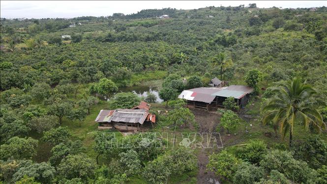 ចំណងជើងរូបថត