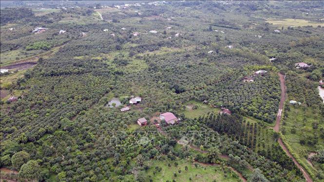 ចំណងជើងរូបថត