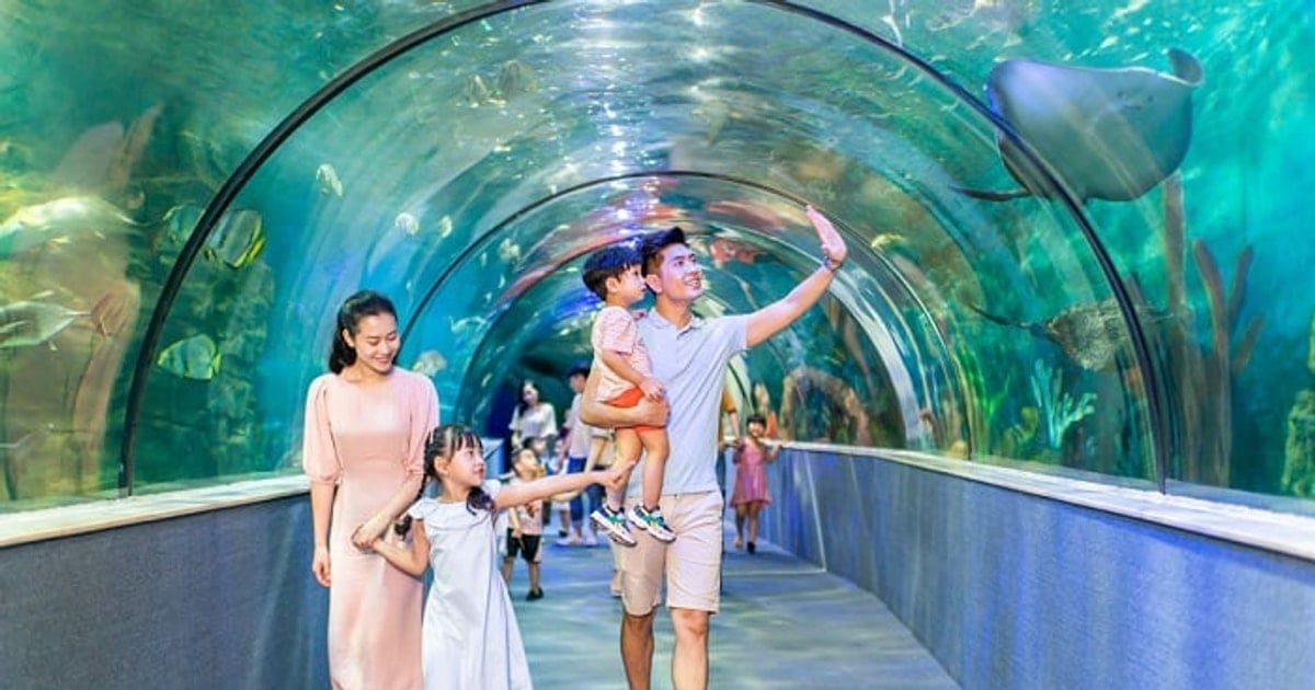 Thủy cung Times City: Hành trình khám phá đại dương giữa lòng Hà Nội