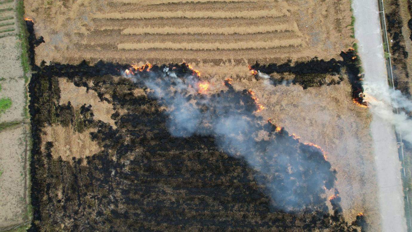 Waarom wordt er nog steeds stro verbrand? -2.jpg