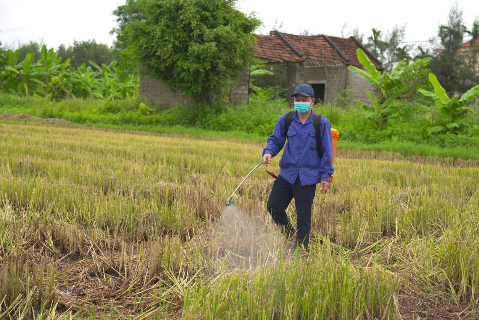Waarom wordt er nog steeds stro verbrand? -4.jpg