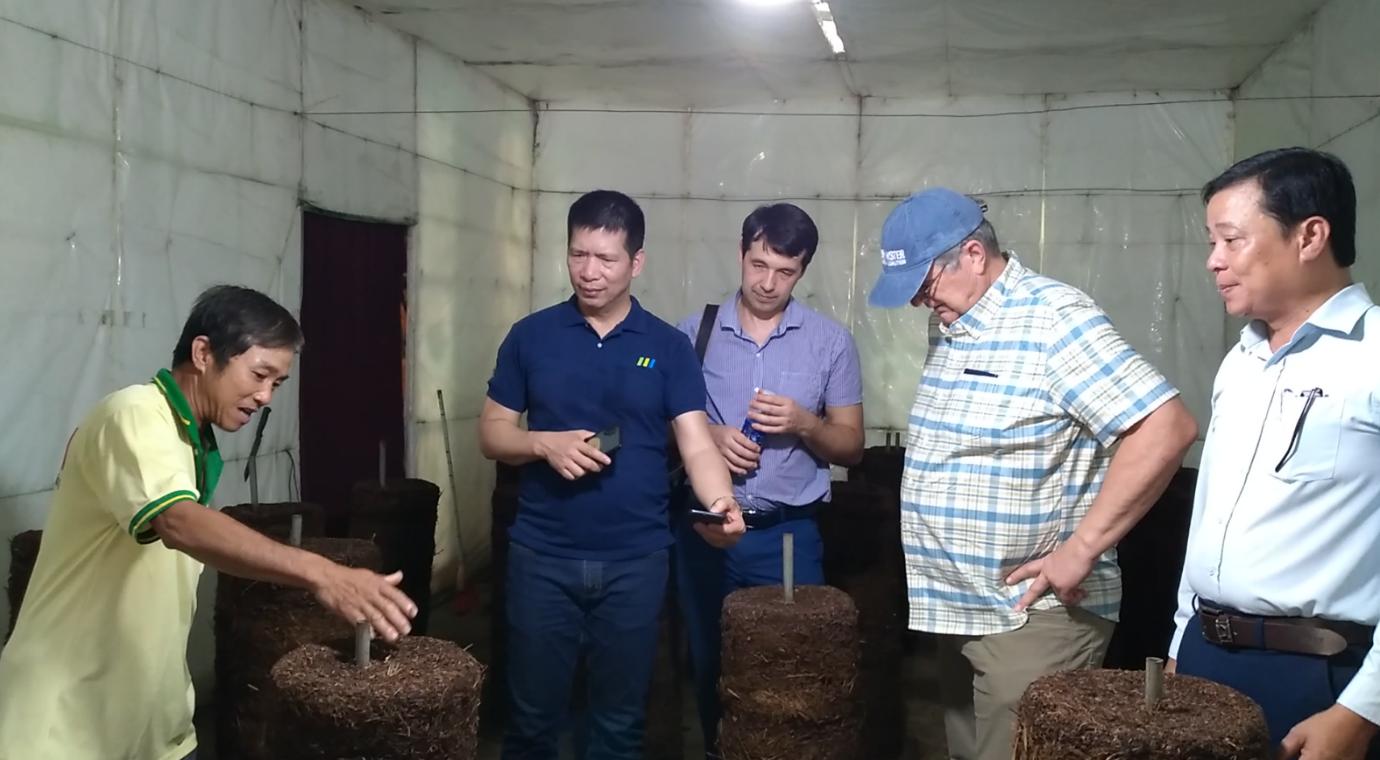 Waarom wordt er nog steeds stro verbrand? -5.jpg