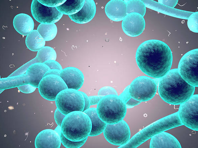 Příznaky vaginitidy způsobené Trichomonas vaginalis - Obrázek 2.