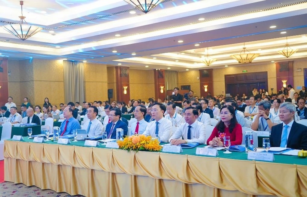 ក្រុមហ៊ុន TT Group និងខេត្ត Ca Mau បានចុះហត្ថលេខាលើកិច្ចព្រមព្រៀងសហប្រតិបត្តិការស្រាវជ្រាវ និងអនុវត្តគម្រោងធំៗជាច្រើន - ២