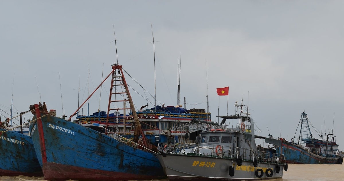 Triển khai các đợt cao điểm chống khai thác IUU