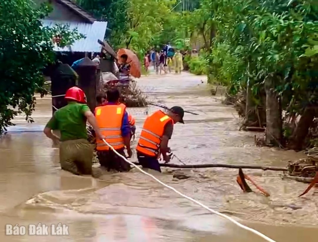 Duc Binh کمیون حکام لوگوں کی مدد کے لیے اہم علاقوں میں گئے۔