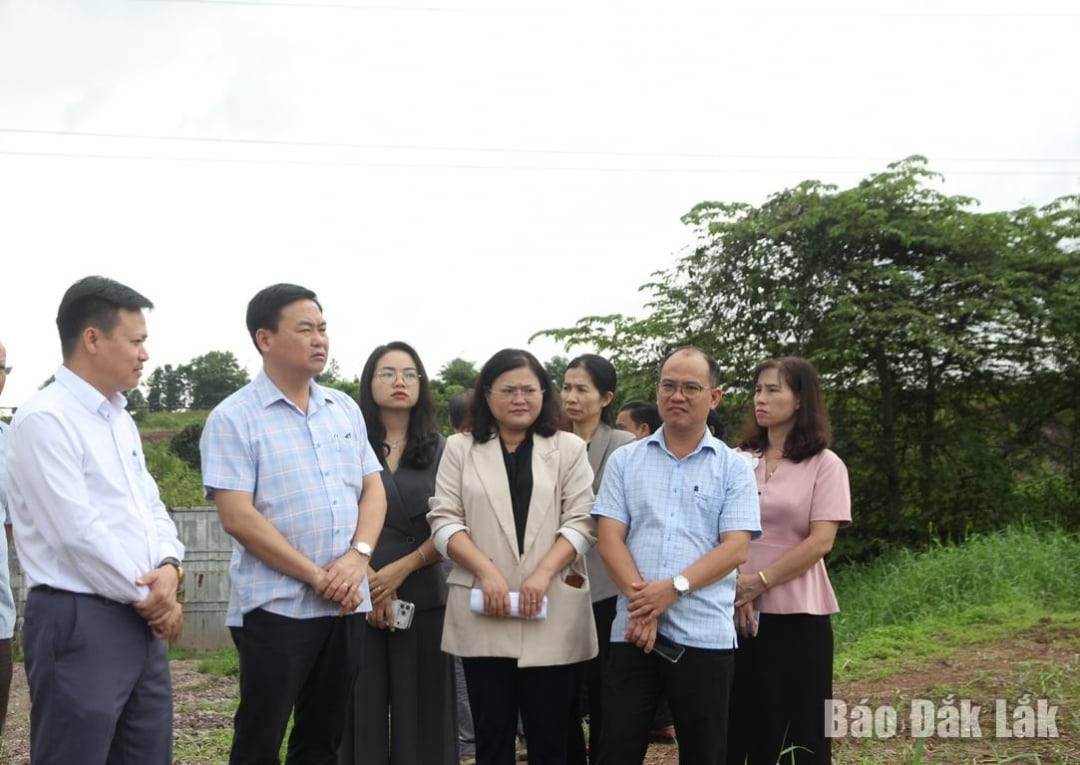 প্রাদেশিক পার্টি কমিটির সদস্য, প্রাদেশিক গণ পরিষদের ভাইস চেয়ারম্যান দো থাই ফং এবং পরিদর্শন প্রতিনিধিদল এলাকার একটি খামার পরিদর্শন করেছেন।
