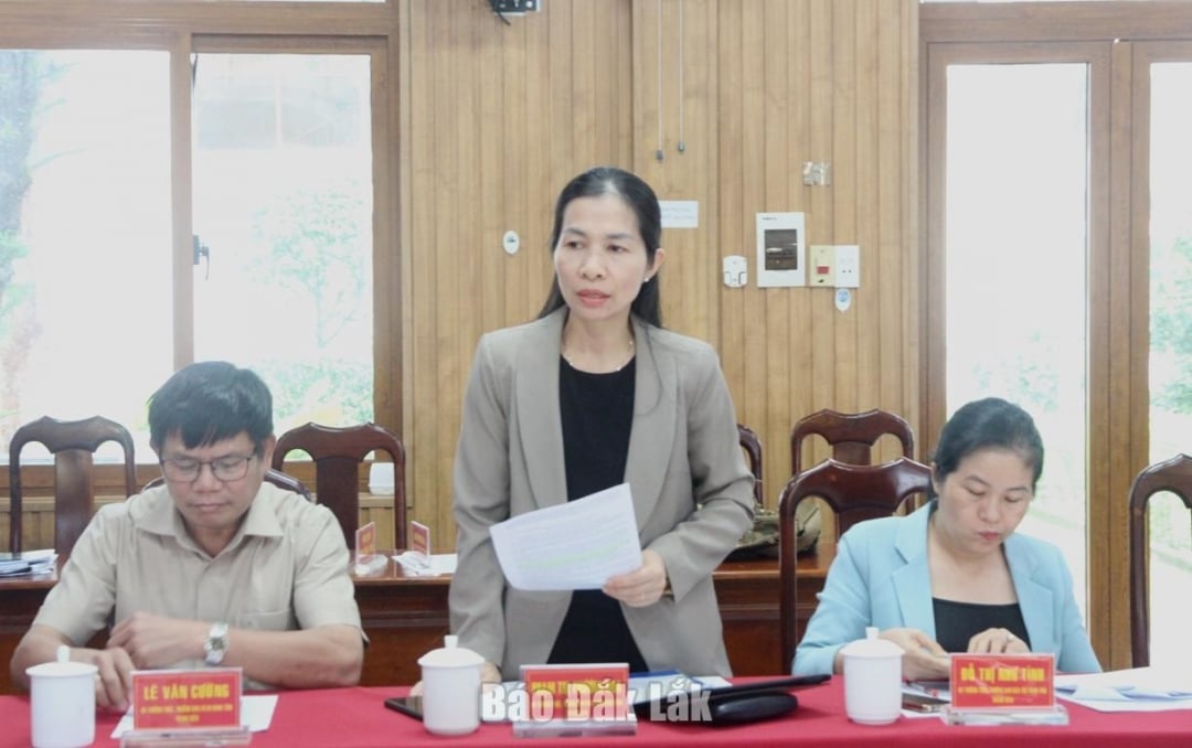 প্রাদেশিক গণ পরিষদের আইন কমিটির প্রধান ফাম থি ফুওং হোয়া তত্ত্বাবধান অধিবেশনে বক্তব্য রাখেন।