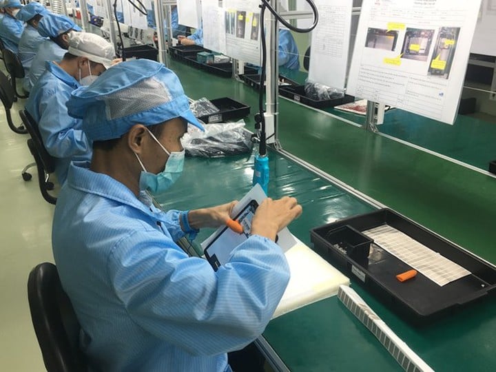 Nuôi tôm công nghệ cao giảm rủi ro, thu lãi lớn - Ảnh 1.