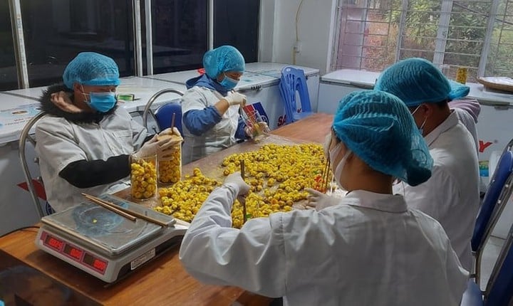 Ứng dụng khoa học, công nghệ và đổi mới sáng tạo trên các lĩnh vực của tỉnh Quảng Ninh - Thành công, hạn chế và những vấn đề đặt ra - Ảnh 1.