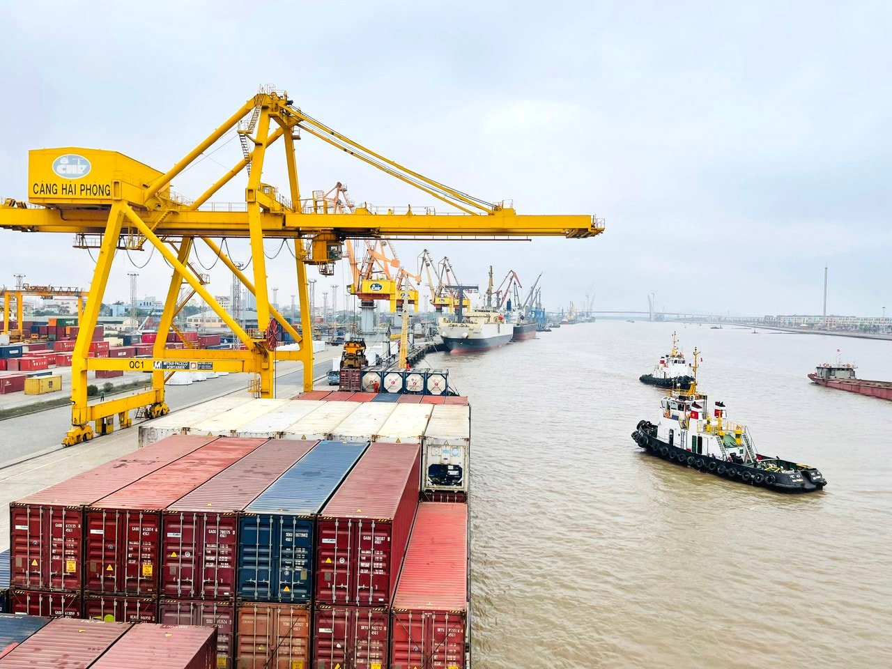 Đề nghị giao Cảng Hải Phòng quản lý, khai thác bến số 4, số 5 cảng Chùa Vẽ