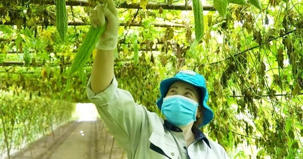 Nghị quyết 57: “Chìa khóa công nghệ” cho hợp tác xã và nông dân