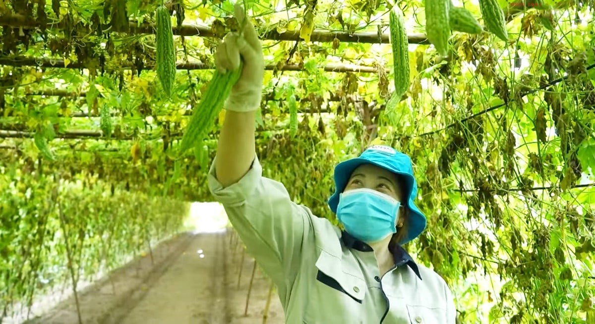 Nghị quyết 57: “Chìa khóa công nghệ” cho hợp tác xã và nông dân- Ảnh 1.