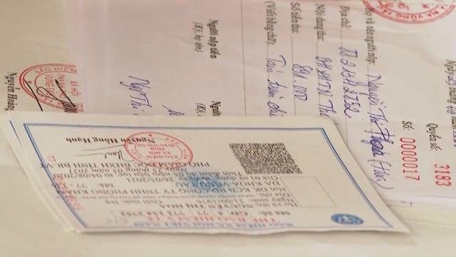 Vươn Khơi - Ngày 18/11/2025 | Những cung đường Marathon tuyệt đẹp ở phía Đông TP.HCM  - Ảnh 1.