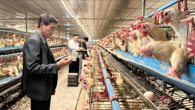 Nông nghiệp tuần hoàn: Mở đường cho tăng trưởng xanh- Ảnh 1.