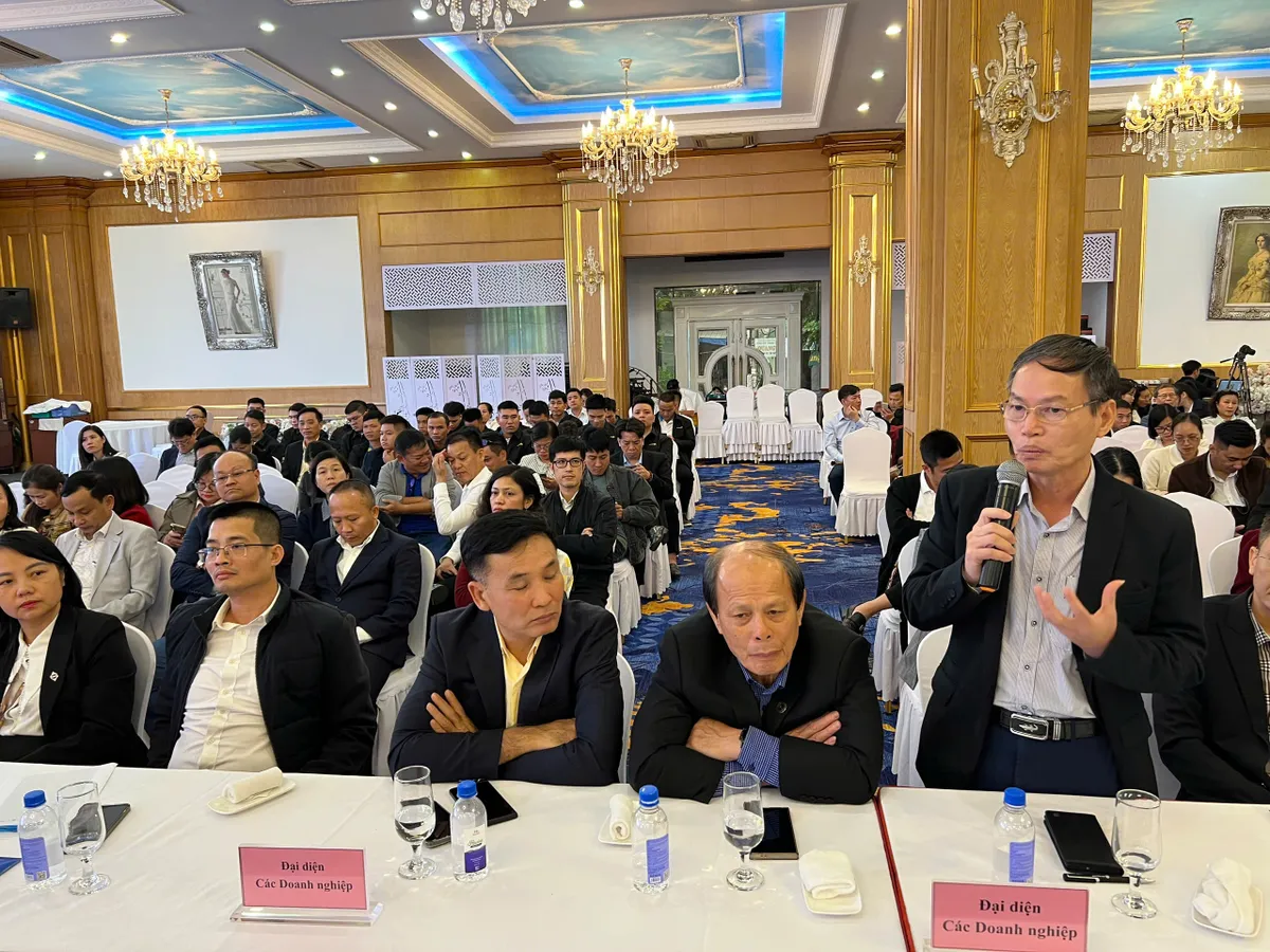 Phát triển đa dạng sinh thái: Hải Phòng bắt tay hàng không phát triển du lịch- Ảnh 1.