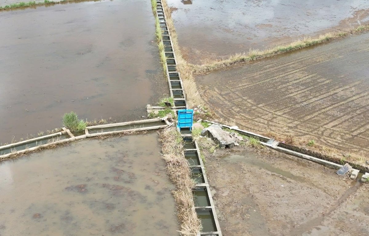 Một công trình thủy lợi nội đồng ở Đồng bằng sông Cửu Long. Ảnh: Minh Sáng.