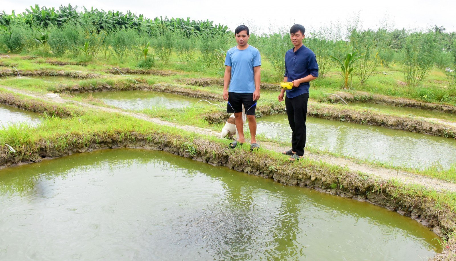 Les agriculteurs diversifient leur production