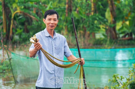 Bí thư chi bộ ấp quyết tâm bảo vệ nguồn lợi cá đồng