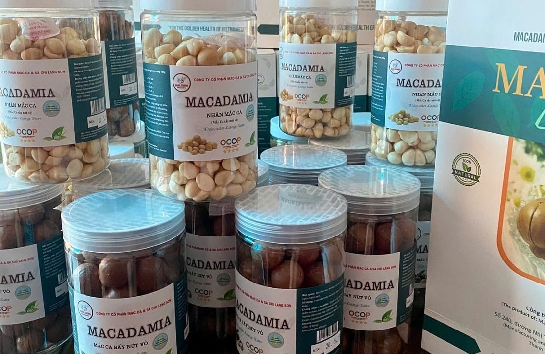 Các dòng sản phẩm macca sấy nứt vỏ và nhân macca của Công ty Macca & Sachi Lạng Sơn đạt chuẩn OCOP 4 sao. Ảnh: Hoàng Nghĩa.