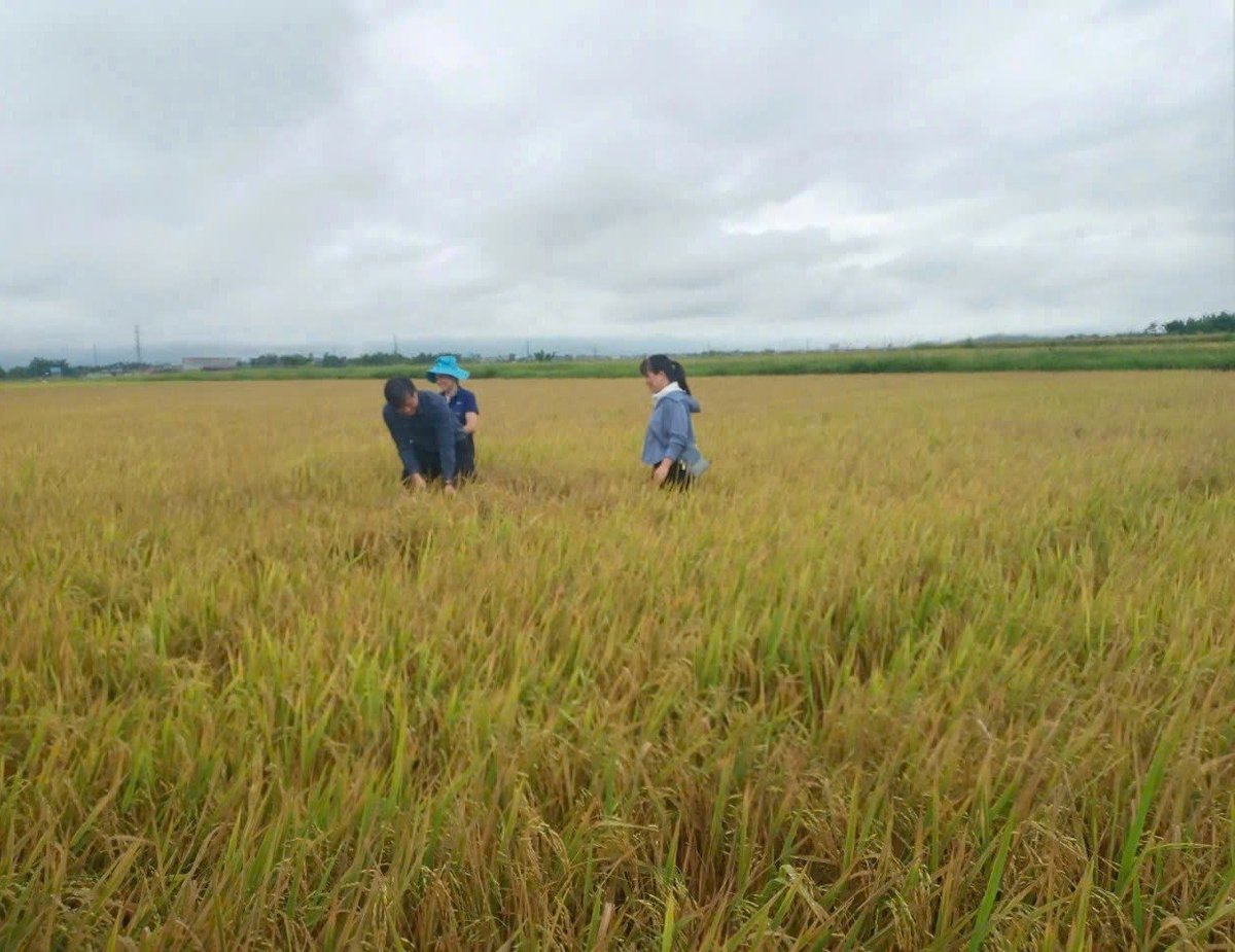 Cán bộ nông nghiệp hướng dẫn người dân phòng trừ sâu bệnh. Ảnh: Hoàng Châu. 