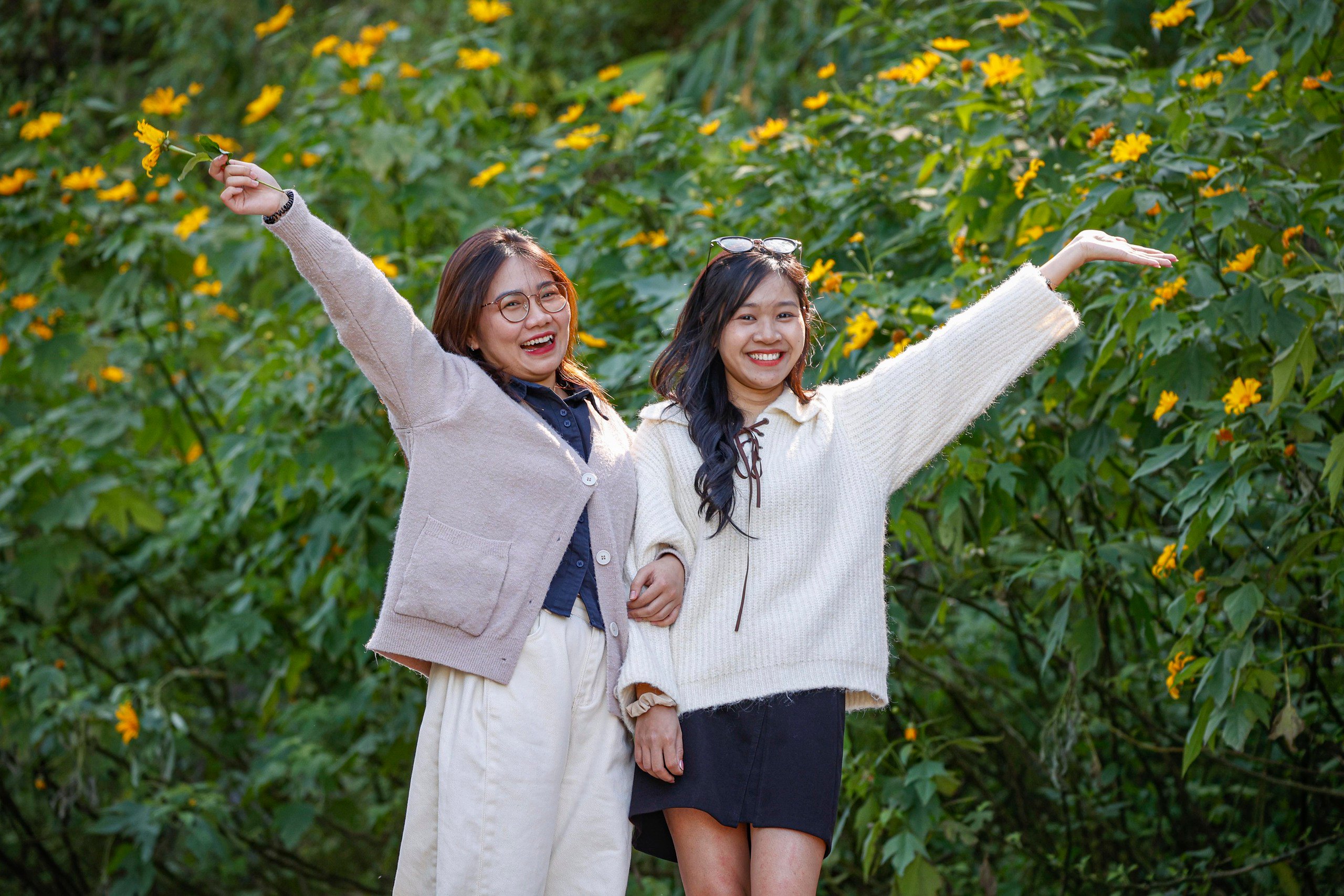 Dã quỳ trải vàng lối lên núi Ba Vì - Ảnh 6.