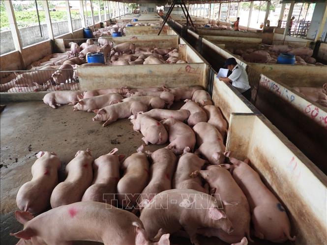 Подпись к фотографии