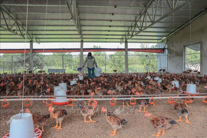 Подпись к фотографии