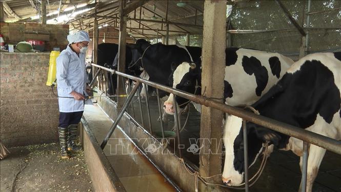 Подпись к фотографии