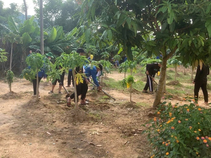 STEM Innovation Petrovietnam: Đồng hành cùng tương lai tri thức Việt- Ảnh 3.