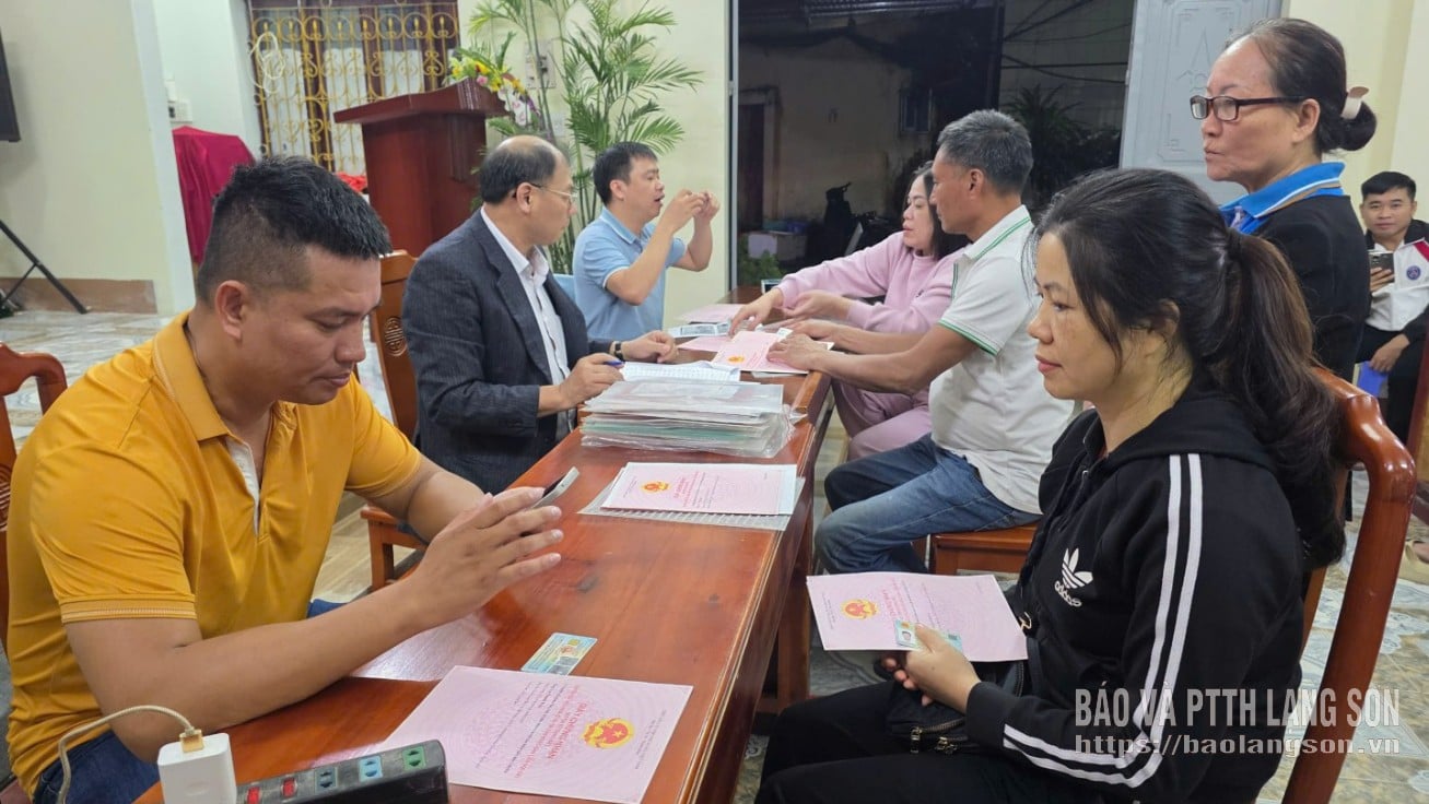 មន្ត្រីនាយកដ្ឋានសេដ្ឋកិច្ច ហេដ្ឋារចនាសម្ព័ន្ធ និងទីក្រុងនៃសង្កាត់ Ky Lua Ward ប្រមូលព័ត៌មានទិន្នន័យដីធ្លី។