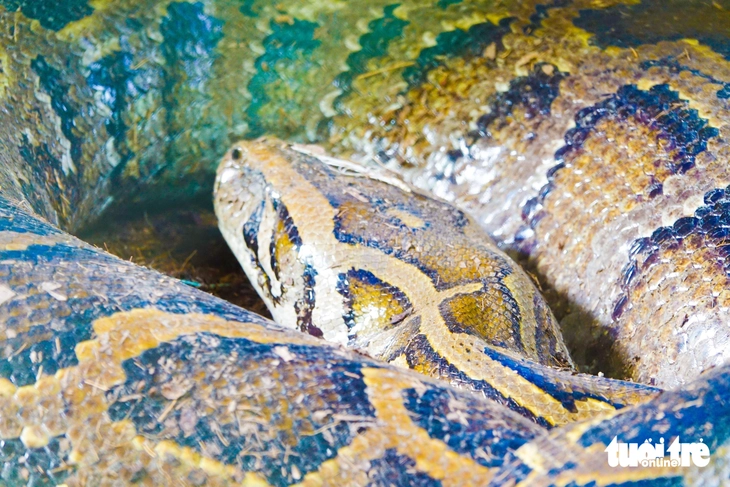 u minh thượng - Ảnh 1.