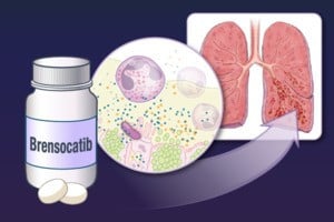 រូបថតគំនូរ។ (ប្រភព៖ VNA)