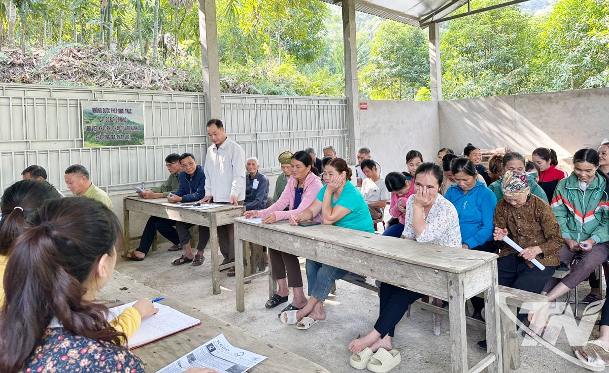 न्घिया ता कम्यून के लोगों को एफएससी मानकों के अनुसार वन रोपण तकनीकों में प्रशिक्षित किया जाता है।