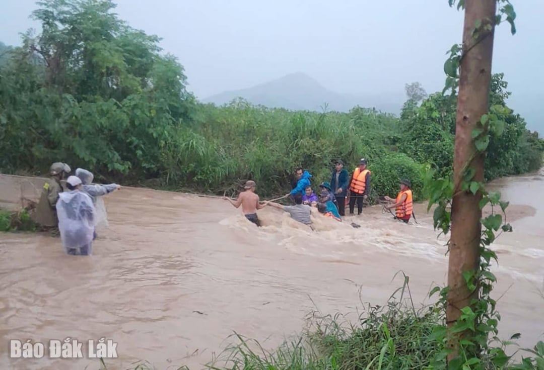 הרשויות החזירו אנשים שנלכדו בשדות למקום מבטחים.