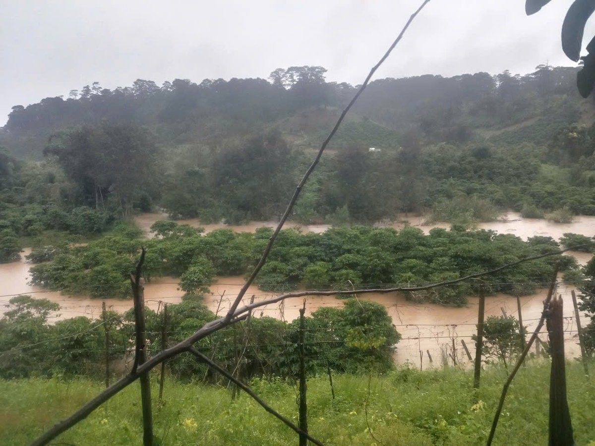 Do ảnh hưởng mua lớn kéo dài nước từ thường nguồn đổ về liên tục nhiều khu vực sản xuất nông nghiệp của người dân ở Lâm Đồng như xã Đơn Dương, Tà Năng bị ngập sâu gây thiệt hại hàng tỷ đồng. Ảnh: Người dân cung cấp.