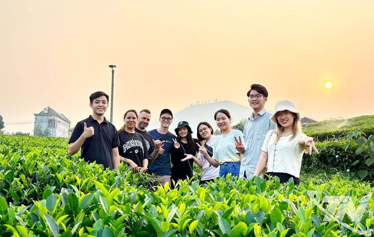 সাম্প্রতিক বছরগুলিতে, থাই নগুয়েন ঐতিহ্যবাহী মূল্যবোধকে ডিজিটাল রূপান্তরের সুযোগের সাথে একত্রিত করেছে, চা পণ্যগুলিকে দেশীয় এবং আন্তর্জাতিক বাজারে নিয়ে এসেছে। ছবিতে: পর্যটকরা চা অঞ্চল পরিদর্শন করেন এবং অভিজ্ঞতা অর্জন করেন।