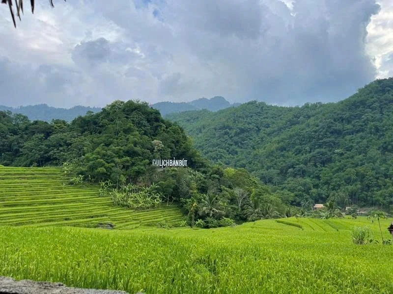 Groene economische ontwikkeling in verband met het verbeteren van het inkomen van mensen