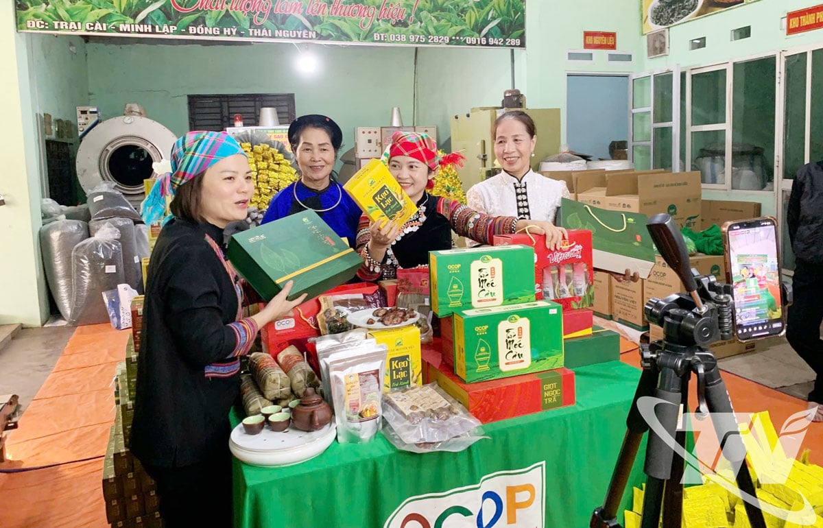 চা পণ্যের প্রচলন এবং সেবনের কার্যকর পদ্ধতিগুলির মধ্যে একটি হল লাইভস্ট্রিম বিক্রয়।