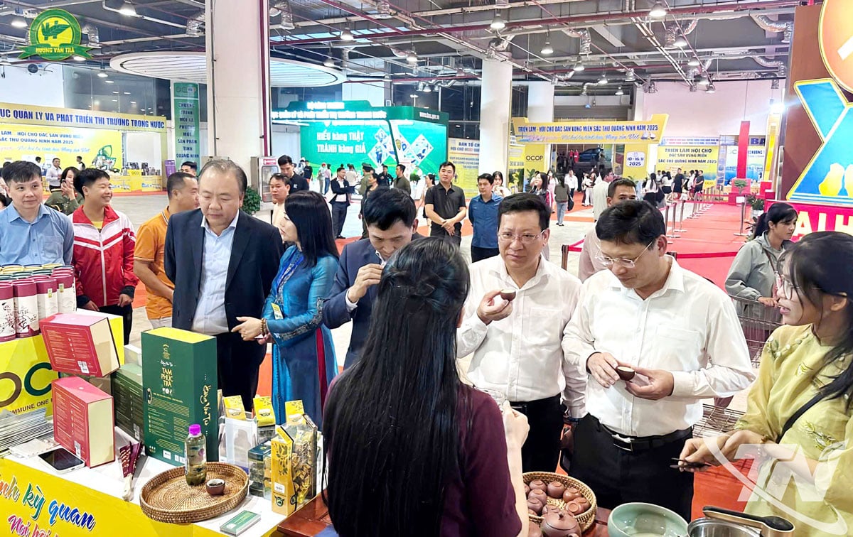 ২০২৫ সালের কোয়াং নিনহ-এর শরৎ রঙের আঞ্চলিক বিশেষত্বের প্রদর্শনী - মেলায় থাই নগুয়েন চা প্রদর্শন এবং উপভোগ করার জন্য জায়গা।