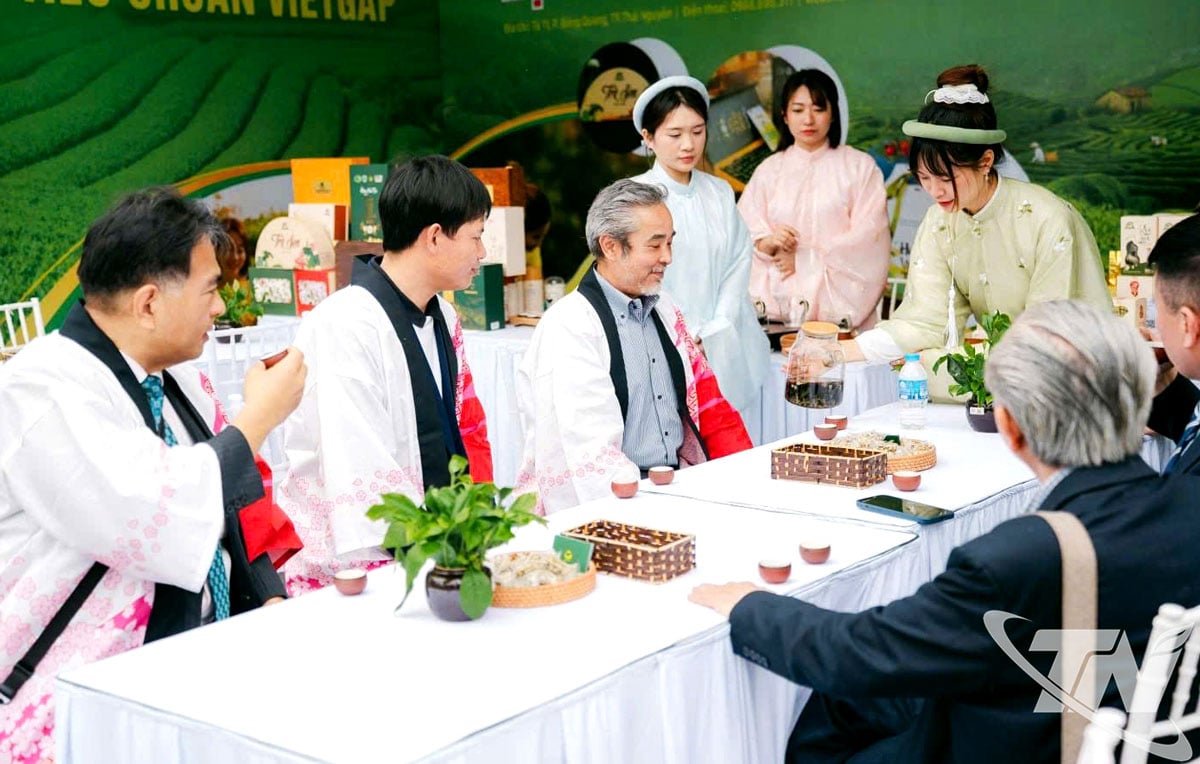 হাই ফং সিটিতে অনুষ্ঠিত ২০২৫ সালের চেরি ব্লসম ফেস্টিভ্যালে জাপানি পর্যটকদের জন্য থাই নুয়েন চায়ের স্বাদ নিয়ে এসেছে হুওং ভ্যান ট্রা কোঅপারেটিভ।