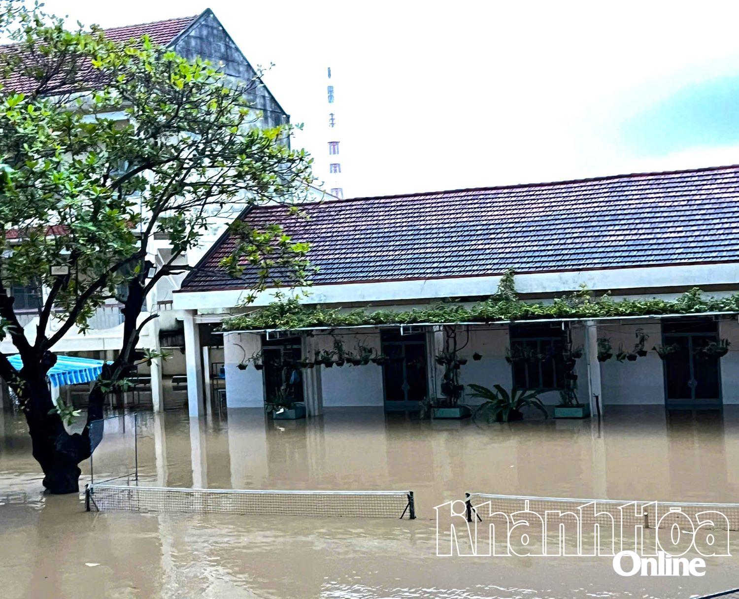 ১৯ নভেম্বর সকালে হা হুই ট্যাপ উচ্চ বিদ্যালয়ের (পশ্চিম নাহা ট্রাং ওয়ার্ড) এক কোণে।