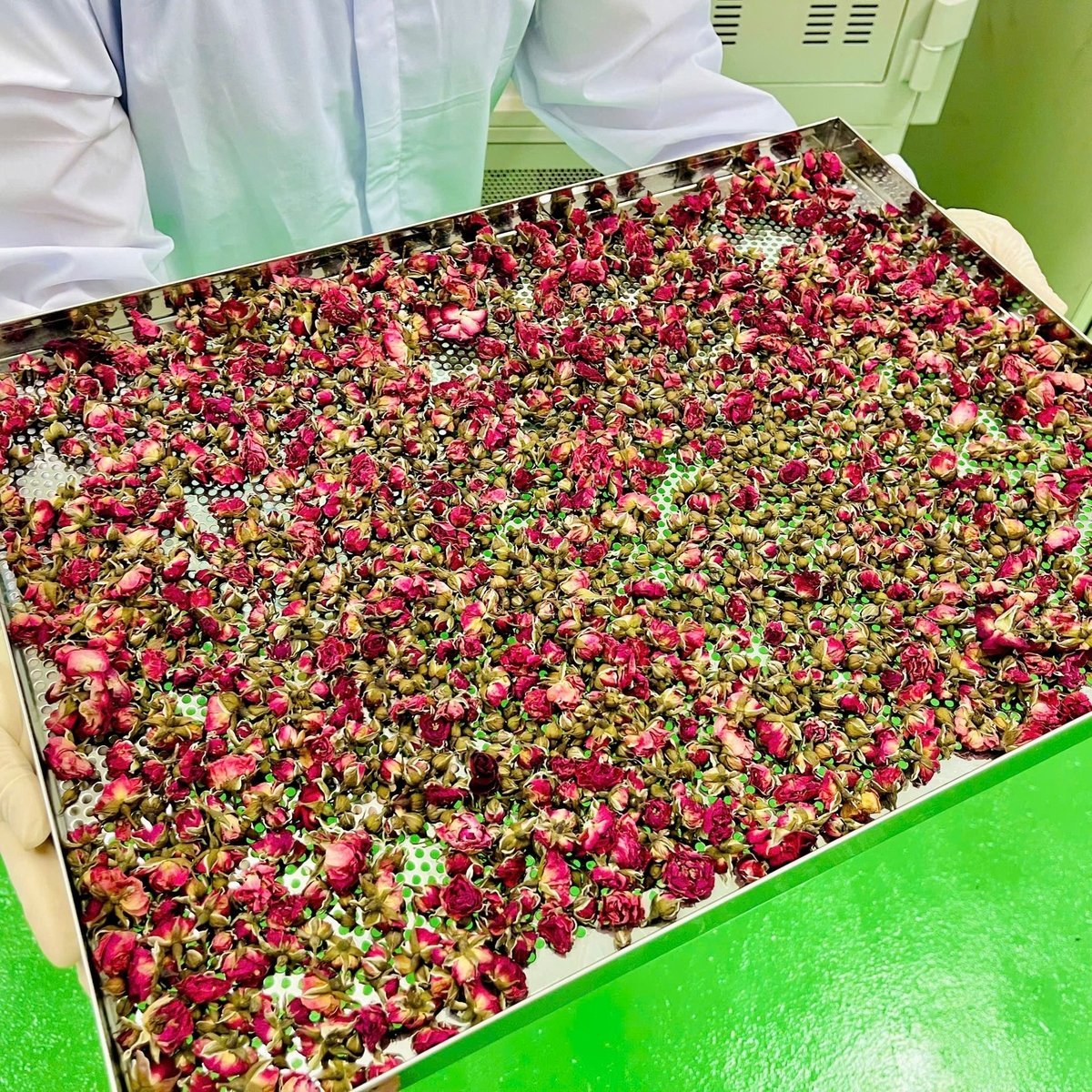 Hoa sau khi thu hoạch được HTX chế biến sâu thành nhiều sản phẩm. Ảnh: L.K.